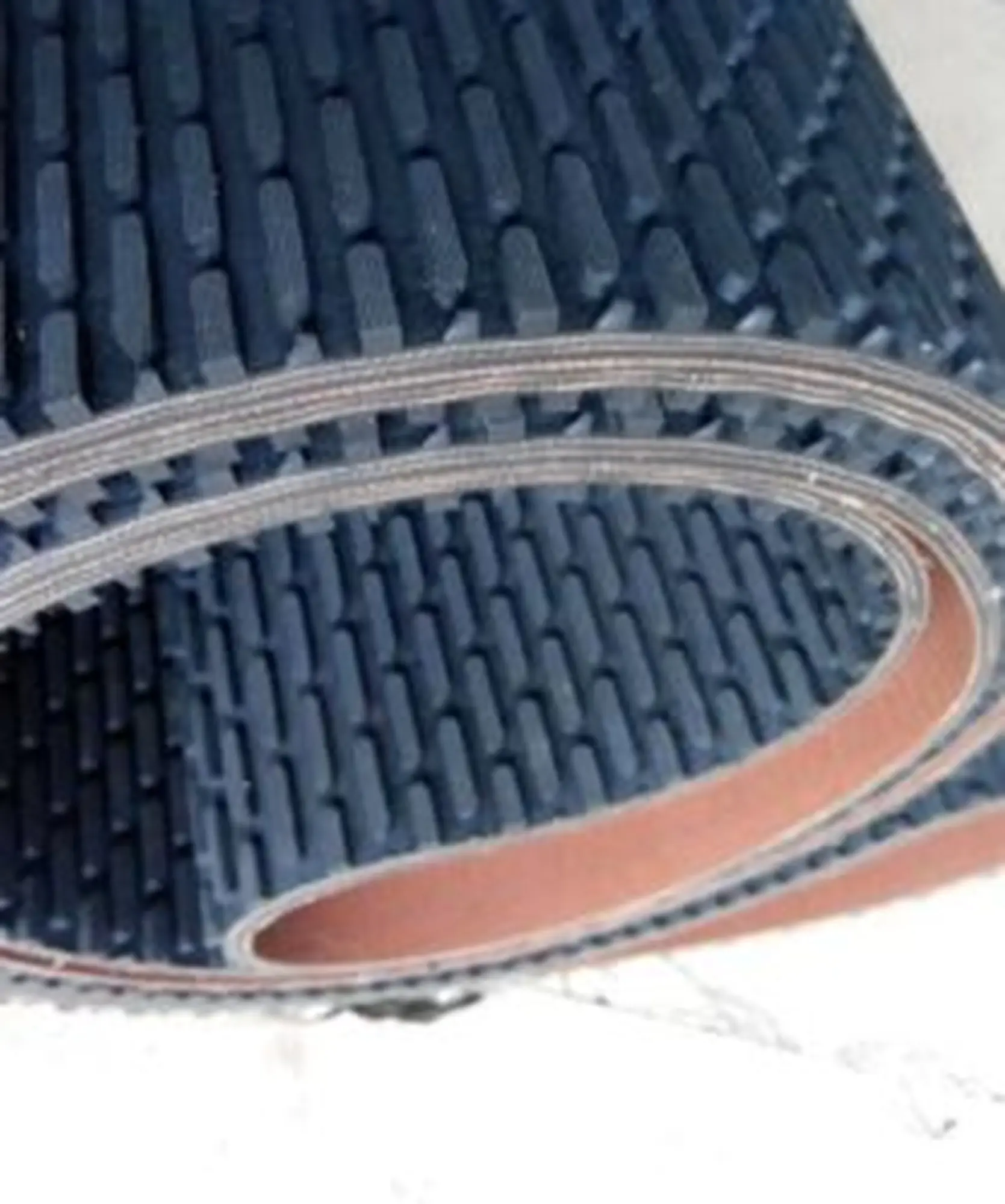 Băng tải hạt dưa