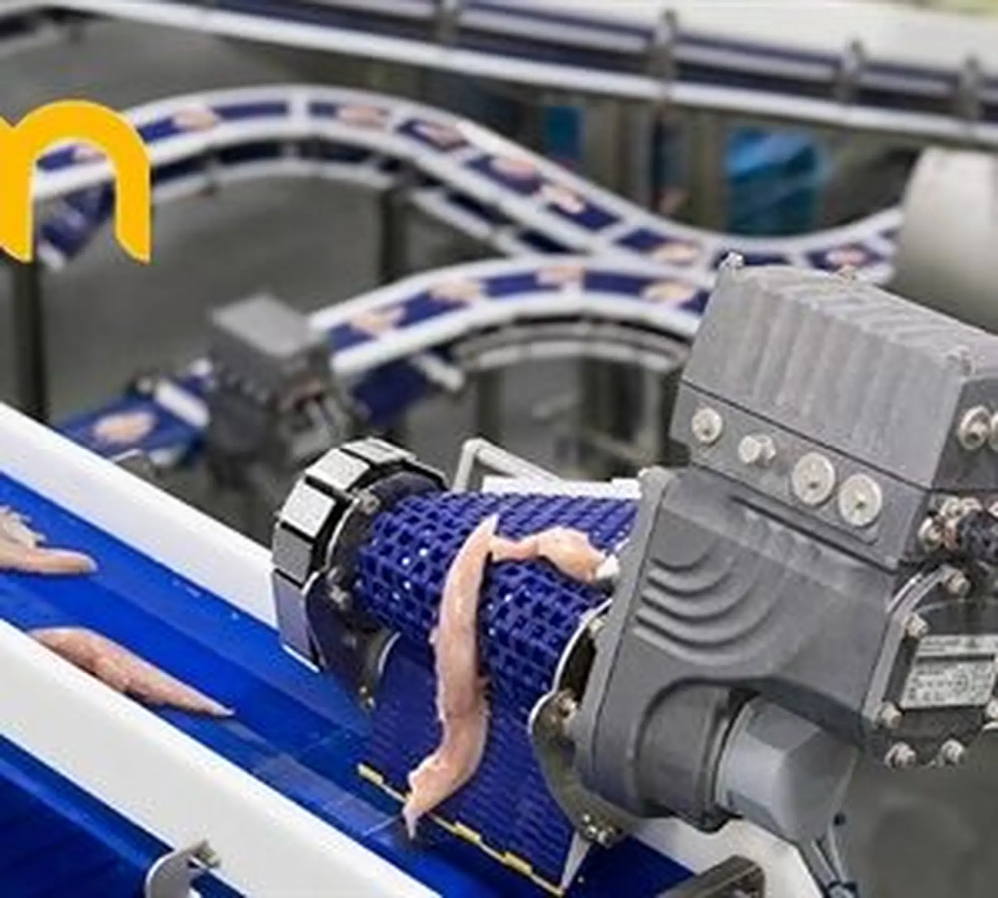 băng tải lưới inox tải cá sông