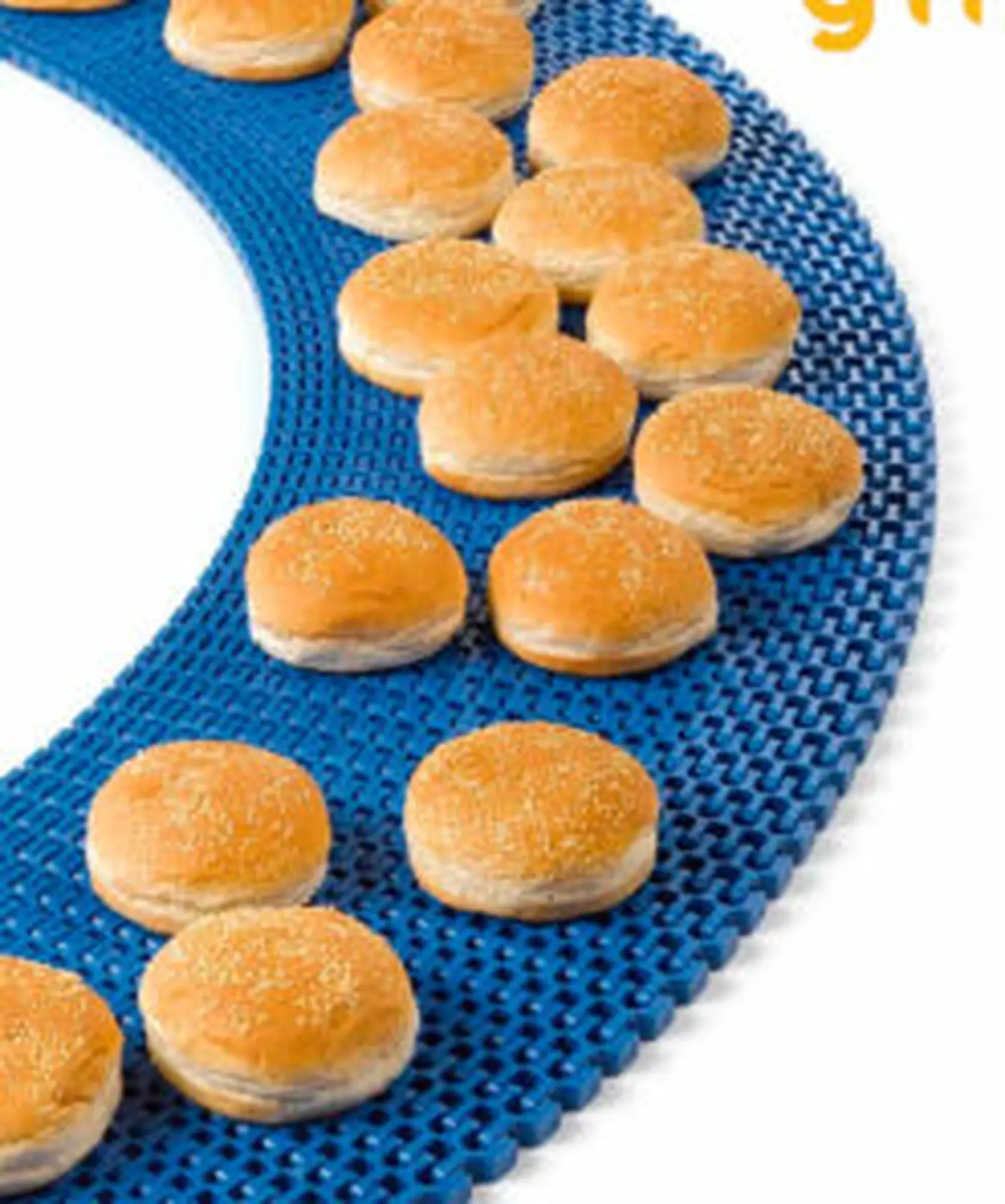 Băng tải thực phẩm