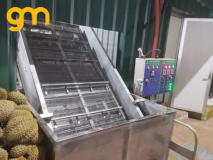 băng tải thùng sầu riêng