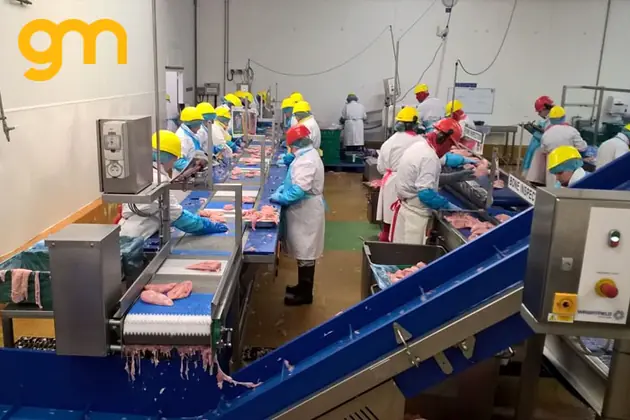 ưu điểm băng tải thực phẩm