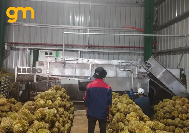 bang tai tai sau rieng 1.jpg