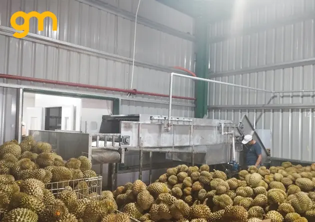 bang tai tai sau rieng.jpg